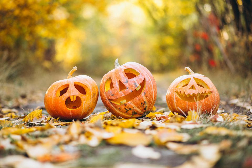 5 Ways To Save Money On Halloween This Year